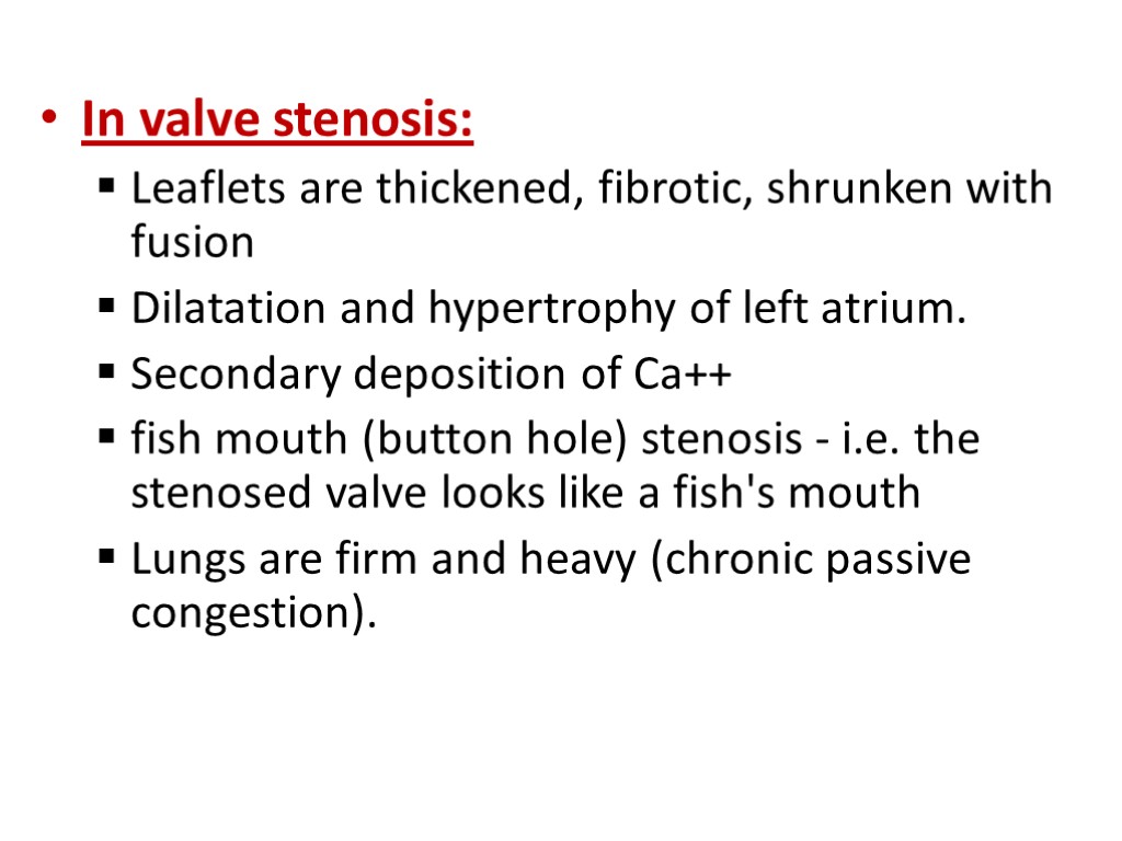 In valve stenosis: Leaflets are thickened, fibrotic, shrunken with fusion Dilatation and hypertrophy of
